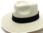 3 Inch Brim Fedora w/wide hatband