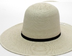 4 Inch Brim, Medium Crown, Guatemalan standard palm hat
