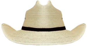 Back