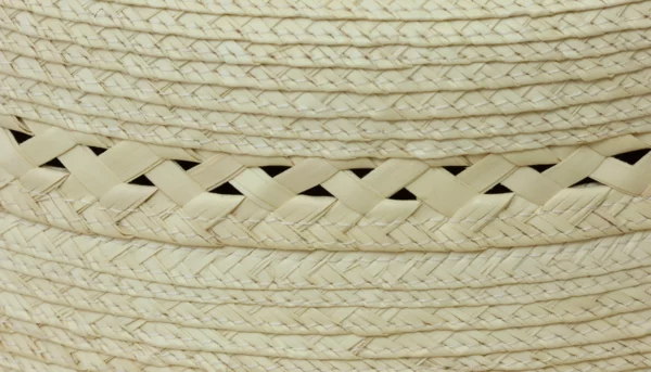 Braid Close Up