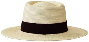 Back