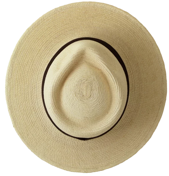 Top
