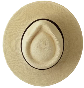 Top