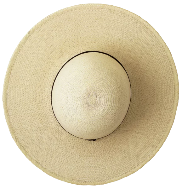 Top