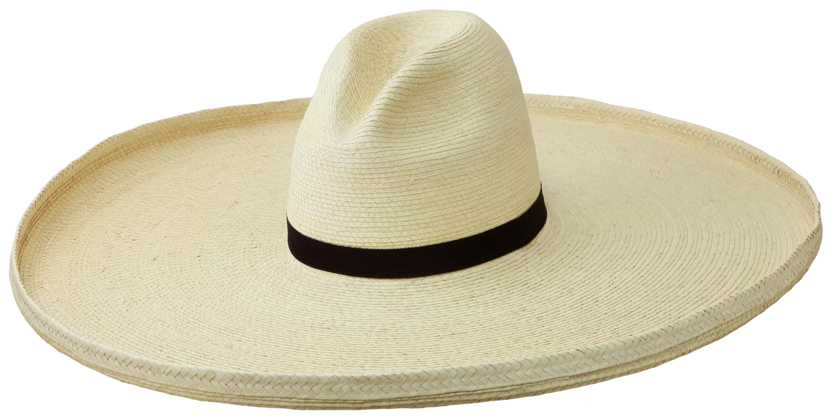 ぼうや。 El Humongo - 8 Inch Brim Gus Hat