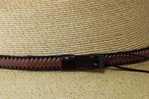 Band & Braid Close Up
