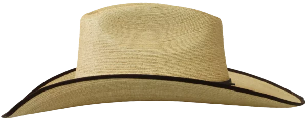 Left Side
