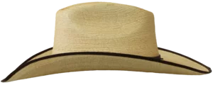 Left Side