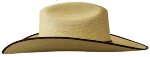 Left Side