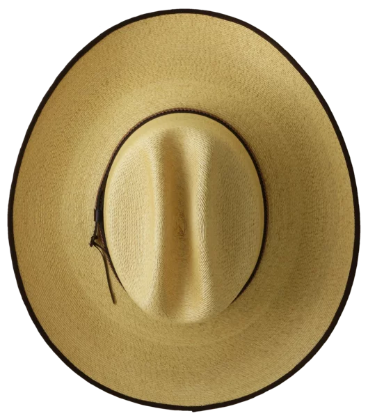 Top