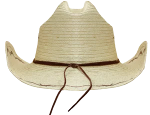 Back
