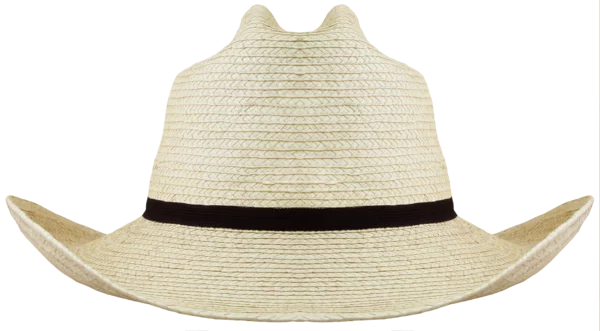 Back