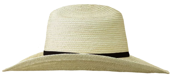 Left Side