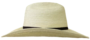 Left Side