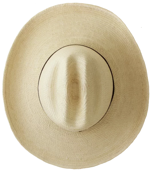 Top
