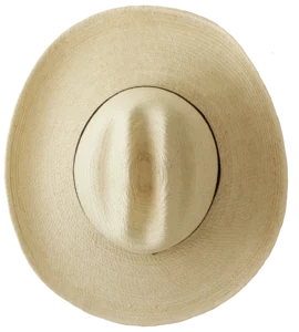 Top