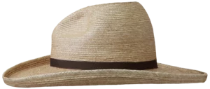 Left Side