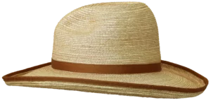 Left Side