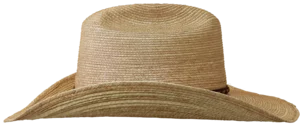 Left Side