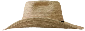 Left Side