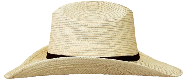 Left Side