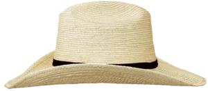 Left Side