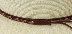 Band & Braid Close Up