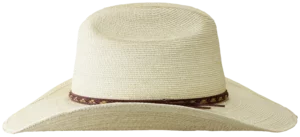 Left Side