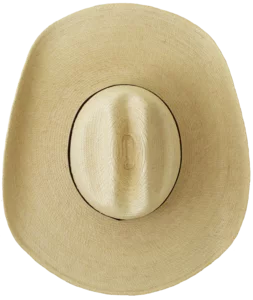 Top