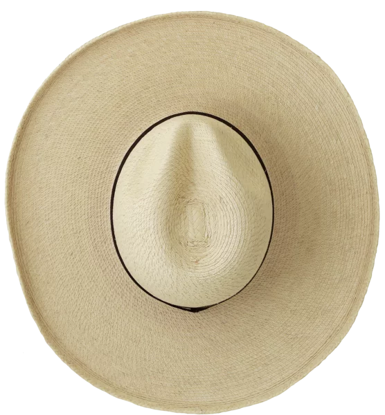 Top