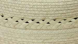 Braid Close Up
