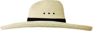 Left Side