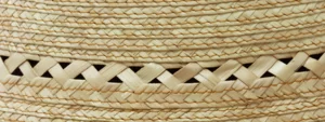 Braid Close Up