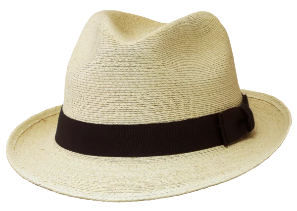 Fine Mexican Palm Fedora