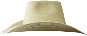 Left Side