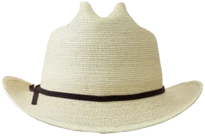 Back