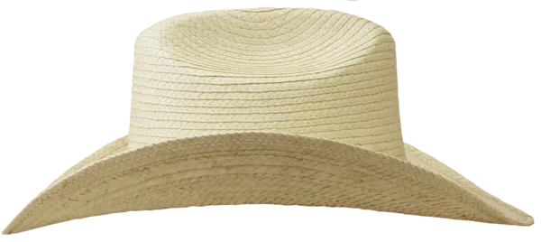Left Side