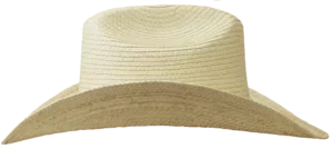 Left Side