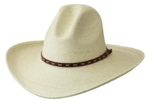 hmgsoft