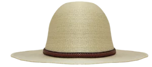 Back