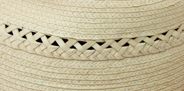 Braid Close Up