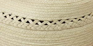 Braid Close Up