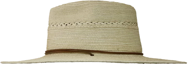 Left Side