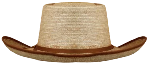 Back