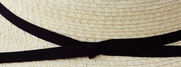 Braid Close Up