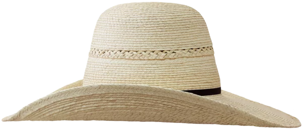 Left Side