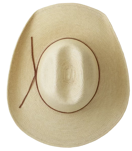 Top View