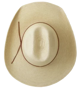 Top View