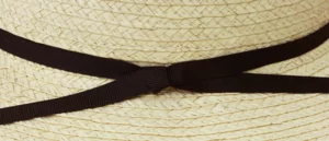 Band & Braid Close Up