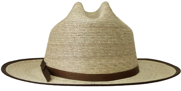 Back